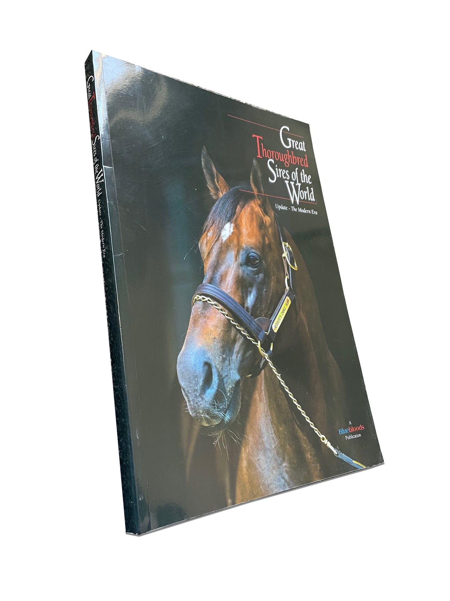 Great Thoroughbred Sires of the World - Update 'The Modern Era'